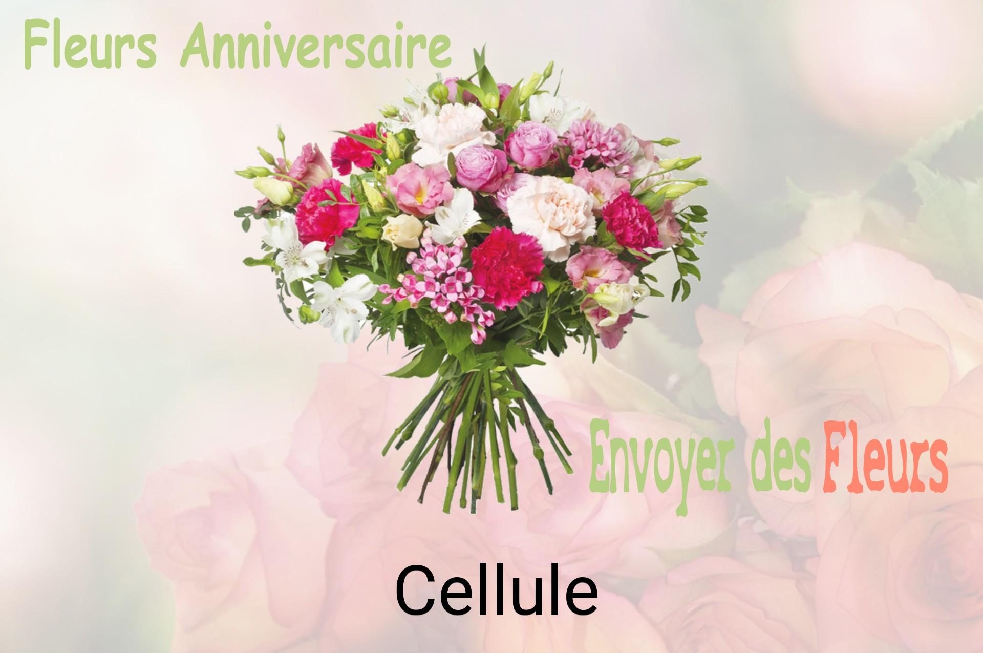 Bouquet de fleurs d’anniversaire livré à Cellule