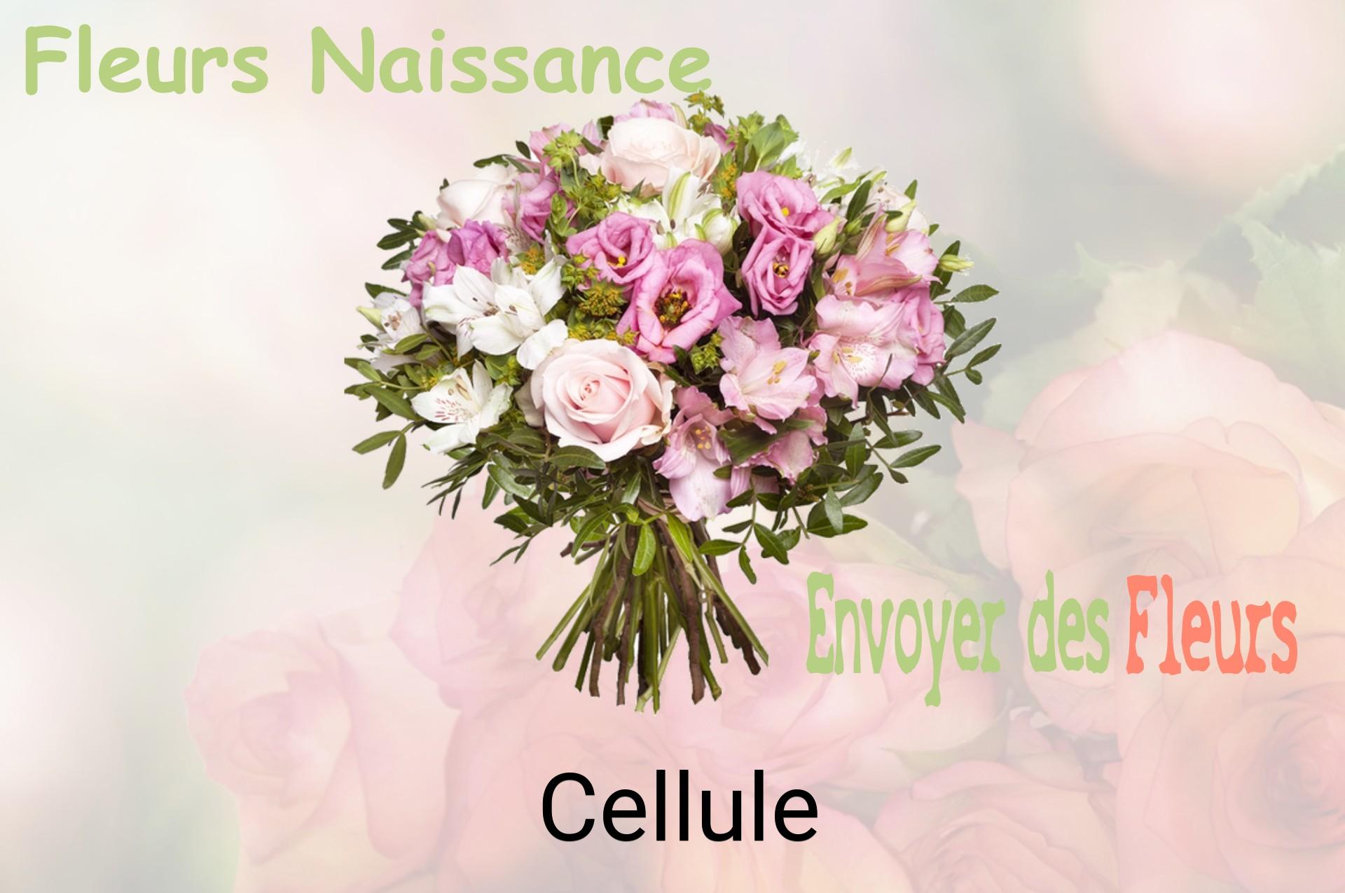 Bouquet de fleurs de naissance livré à Cellule