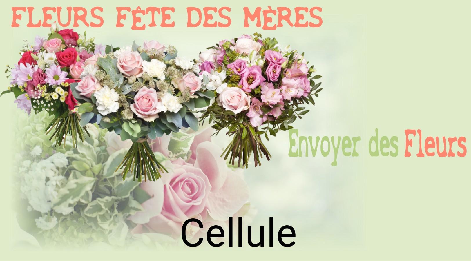 Bouquet de Fête des Mères livré à Cellule